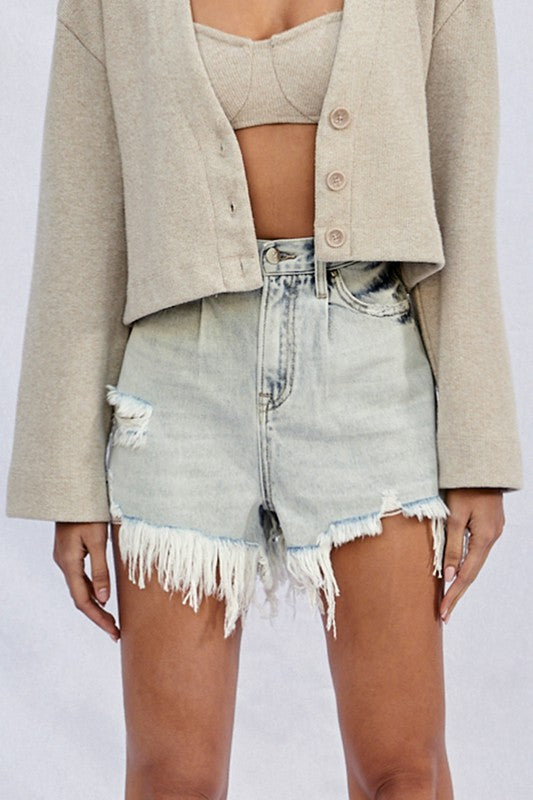 High Rise Frayed Denim Shorts