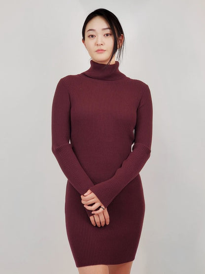 Ribbed Turtleneck Long Sleeve Slim Fit Mini Dress