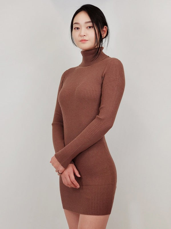 Ribbed Turtleneck Long Sleeve Slim Fit Mini Dress