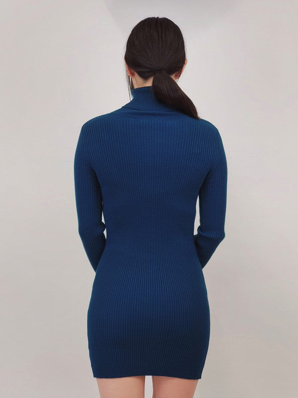 Ribbed Turtleneck Long Sleeve Slim Fit Mini Dress