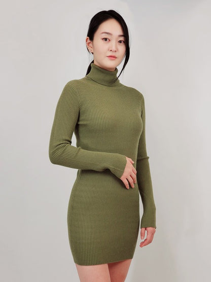 Ribbed Turtleneck Long Sleeve Slim Fit Mini Dress