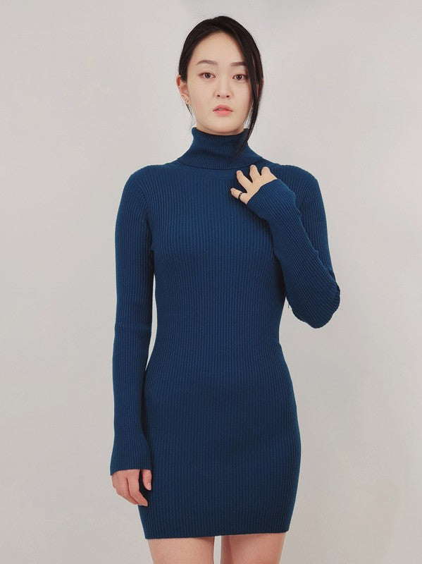 Ribbed Turtleneck Long Sleeve Slim Fit Mini Dress